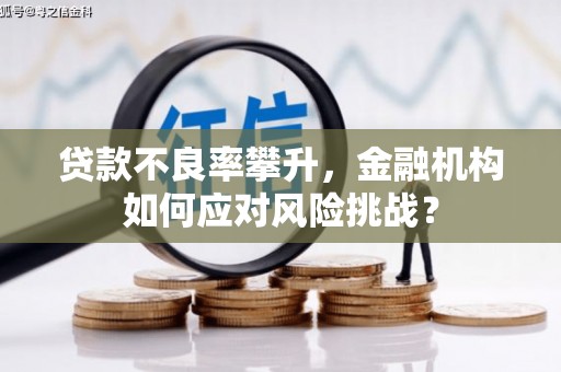 襄垣贷款不良率攀升，金融机构如何应对风险挑战？