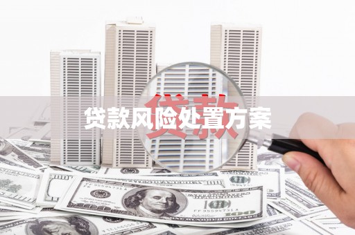襄垣贷款风险处置方案
